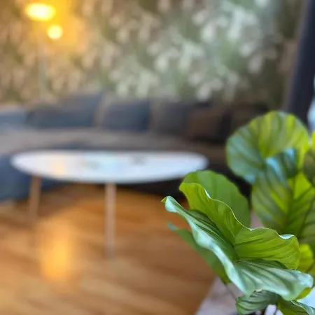 Friedrich Apartman *